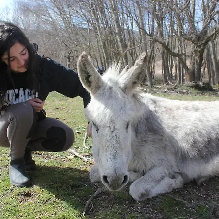 Prázdninový dům Las Tejeruelas Ii Navacepedilla de Corneja
