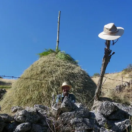 Las Tejeruelas Ii Prázdninový dům
